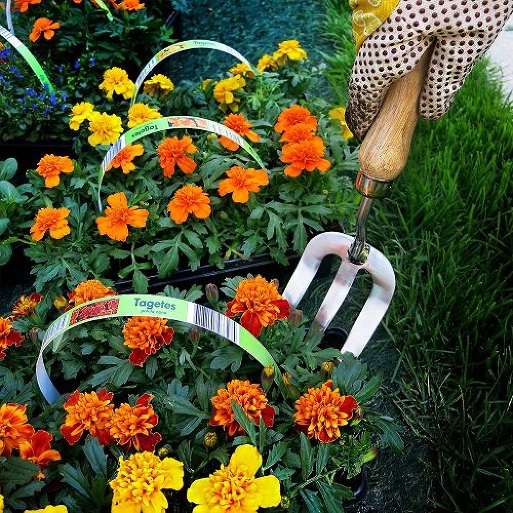 Вилка садові Gruntek Inox 310 мм(295452258) Вилка садові Gruntek Inox 310 мм(295452258)