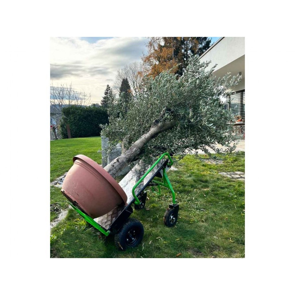 Електричний візок ZIPPER ZI-ET260 Електричний візок ZIPPER ZI-ET260