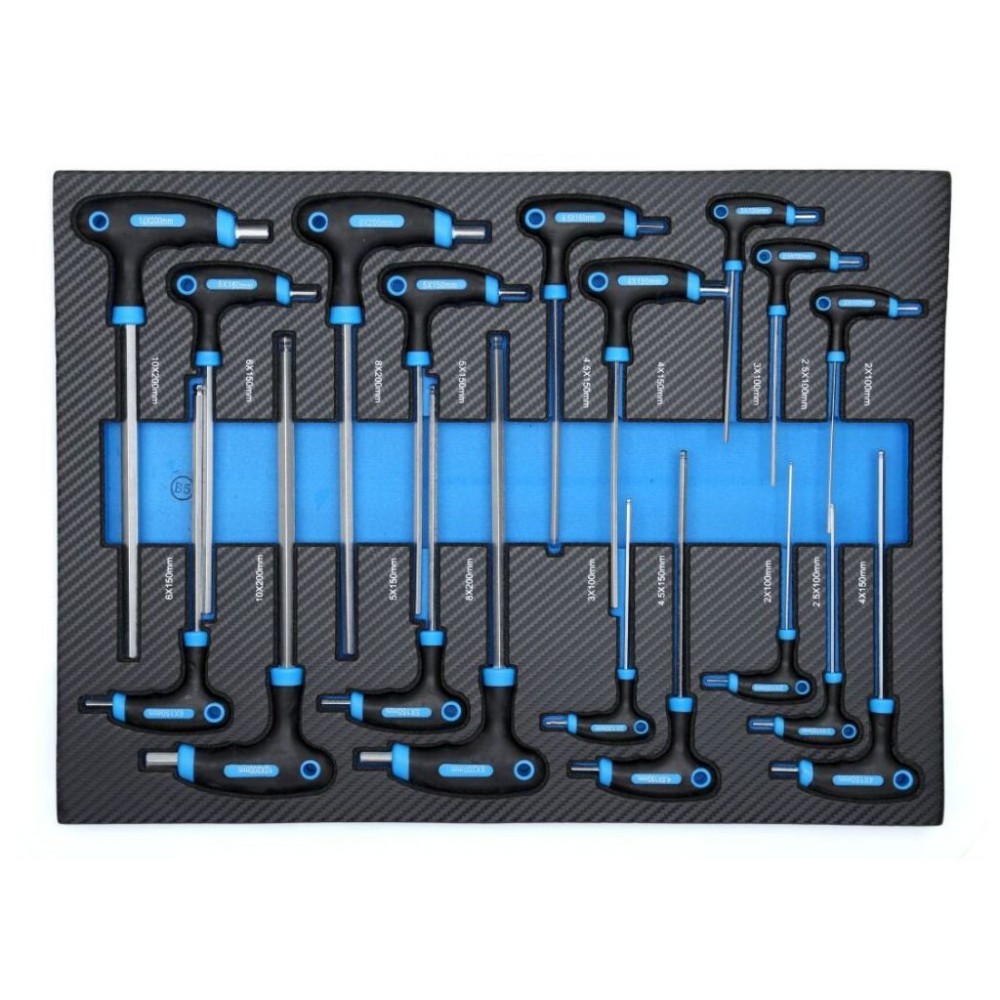 Візок з інструментами для майстерні TAGRED TA212, 251 ел