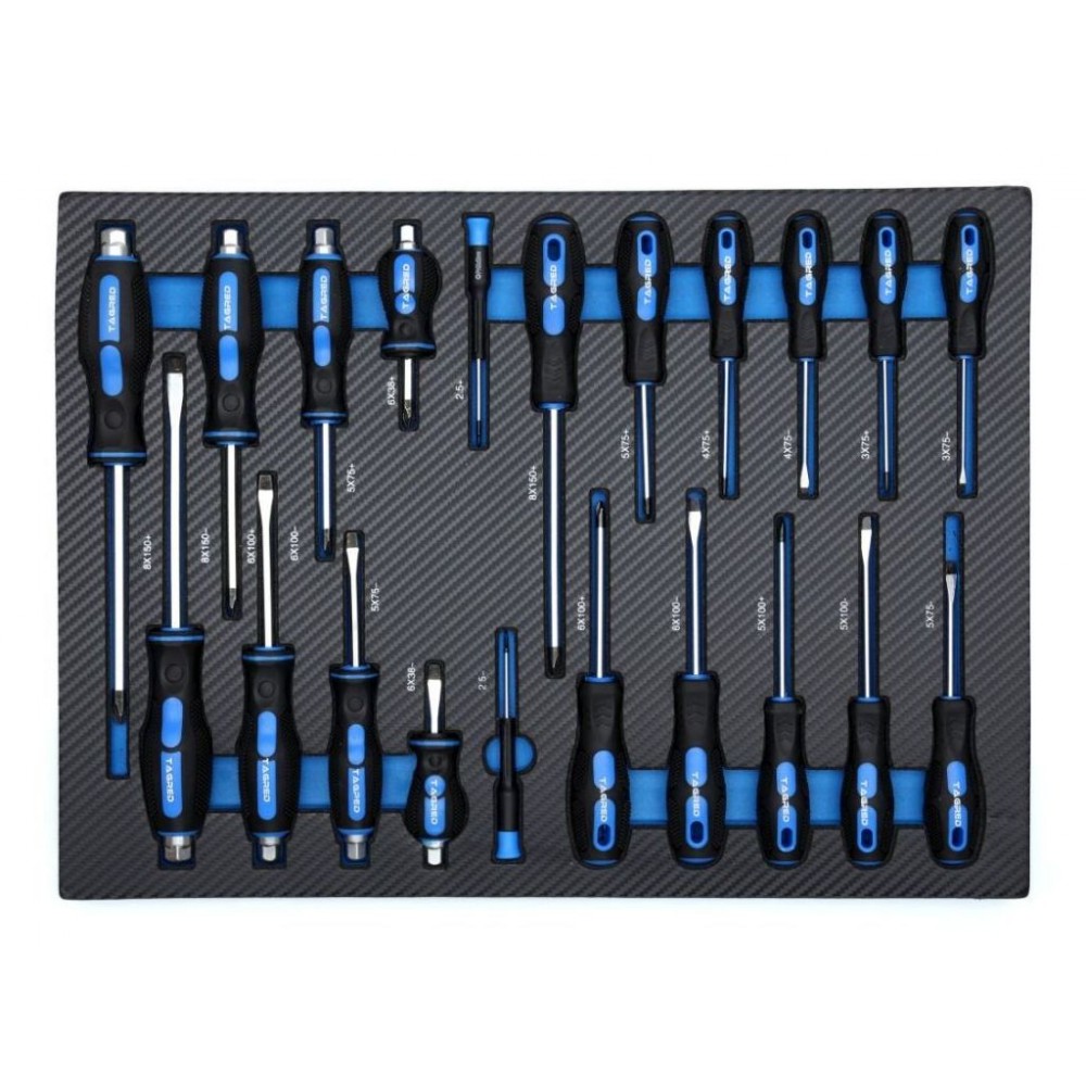 Візок з інструментами для майстерні TAGRED TA212, 251 ел