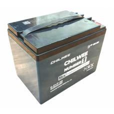 Гелевий тяговий акумулятор CHILWEE 6-EVF-58 - 58A/H