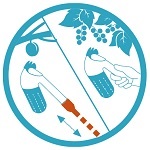 Можна використовувати як з короткою, так і з довгою ручкою